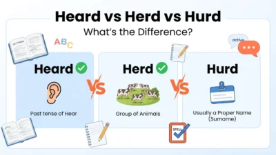 Heard vs Herd vs Hurd