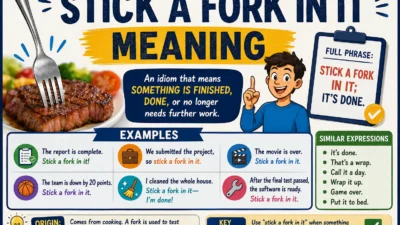 Stick a Fork in It Meaning