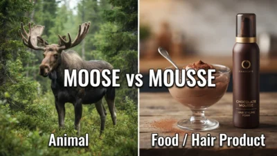 Moose vs Mousse
