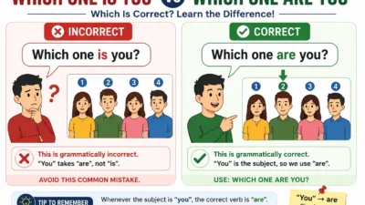 Which One Is You vs Which One Are You